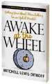 Awake at the Wheel, Book about big ideas